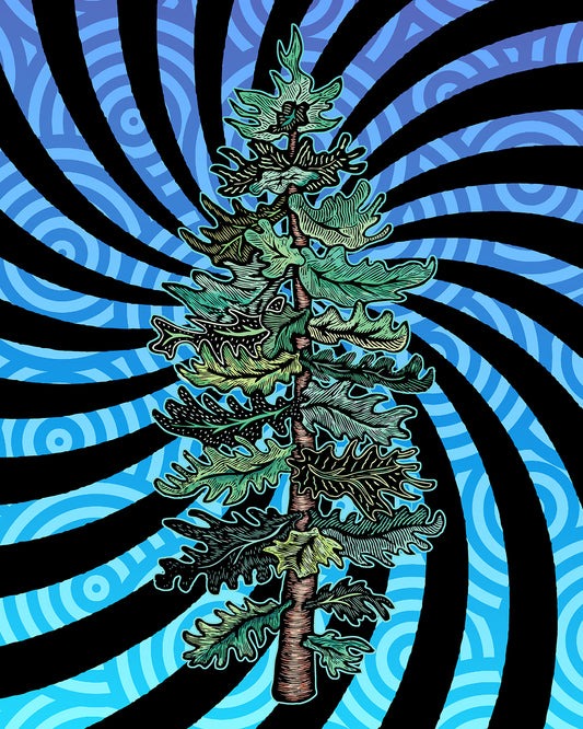 "Blue Spruce"-Wooden Panel Print